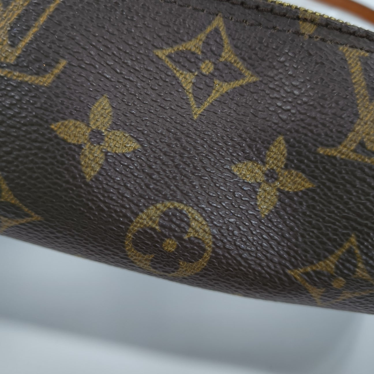 PAPILLON Mini Monogram Coated Canvas Brown