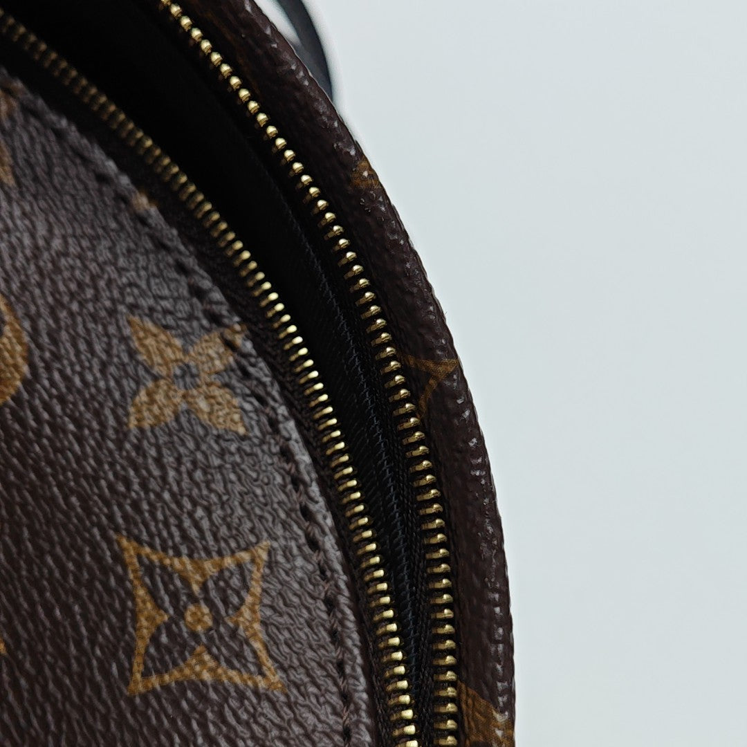 PALM SPRINGS Mini Monogram Coated Canvas Brown