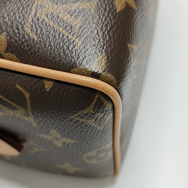 SPEEDY 20 Monogram Coated Canvas Brown
