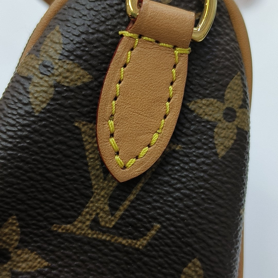 SPEEDY Nano Monogram Coated Canvas Brown