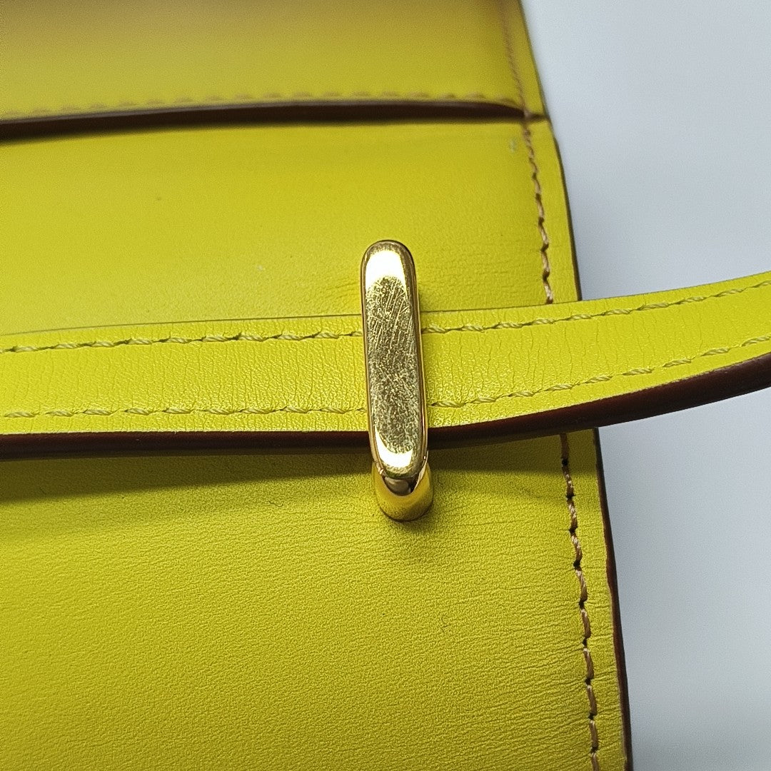 Goya Small Calfskin Multicolor