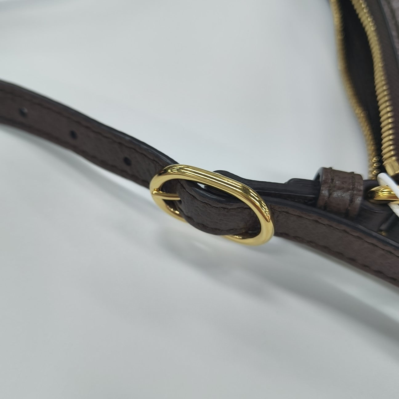 Ophidia Small Monogram Coated Canvas Brown