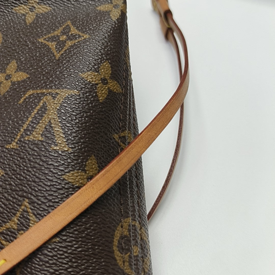 NEVERFULL MM Monogram Coated Canvas Brown
