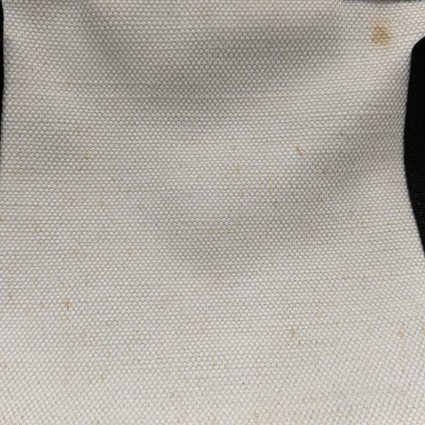 Navy Mini Canvas White