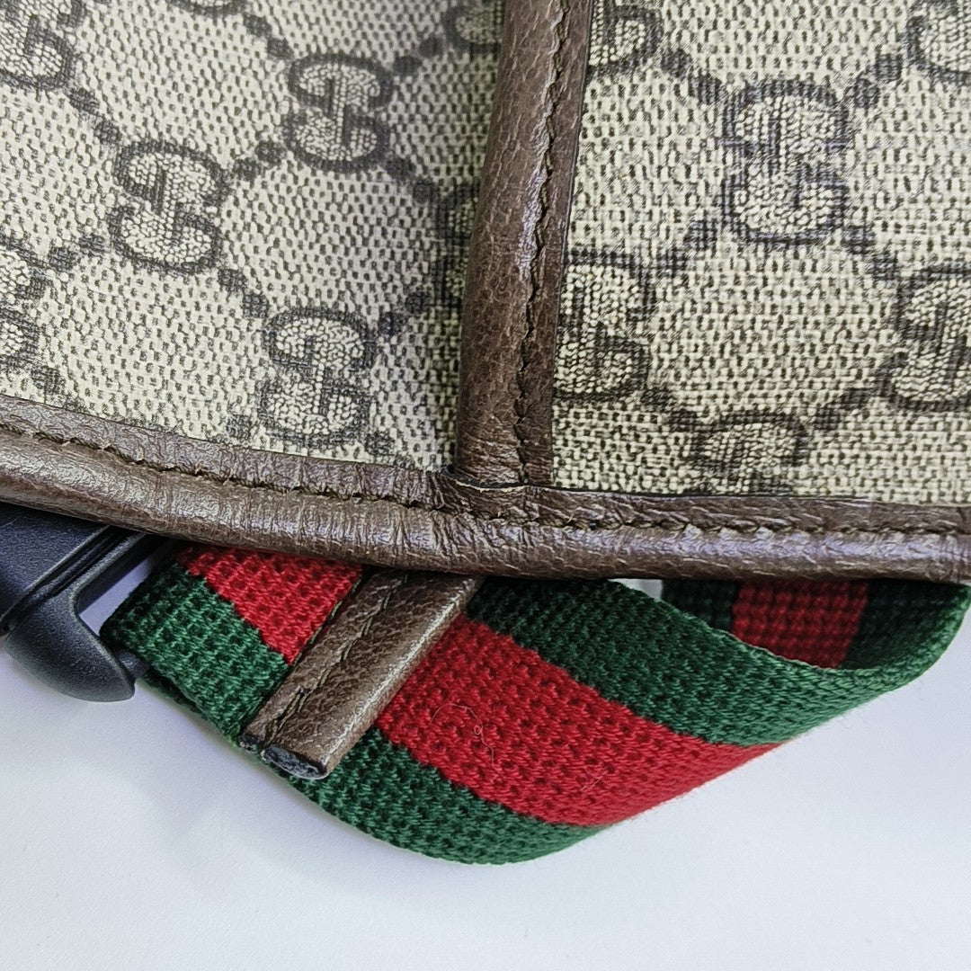 Neo Vintage Monogram Coated Canvas Beige