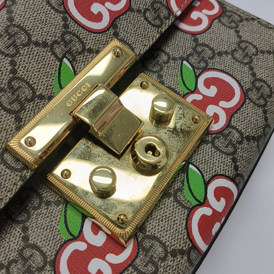 Padlock Small Monogram Coated Canvas Multicolor