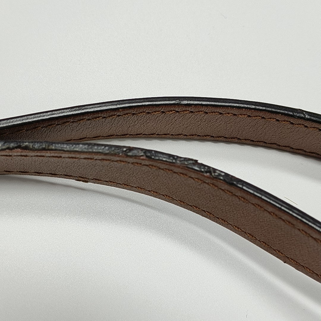 DAUPHINE Mini Monogram Coated Canvas Brown
