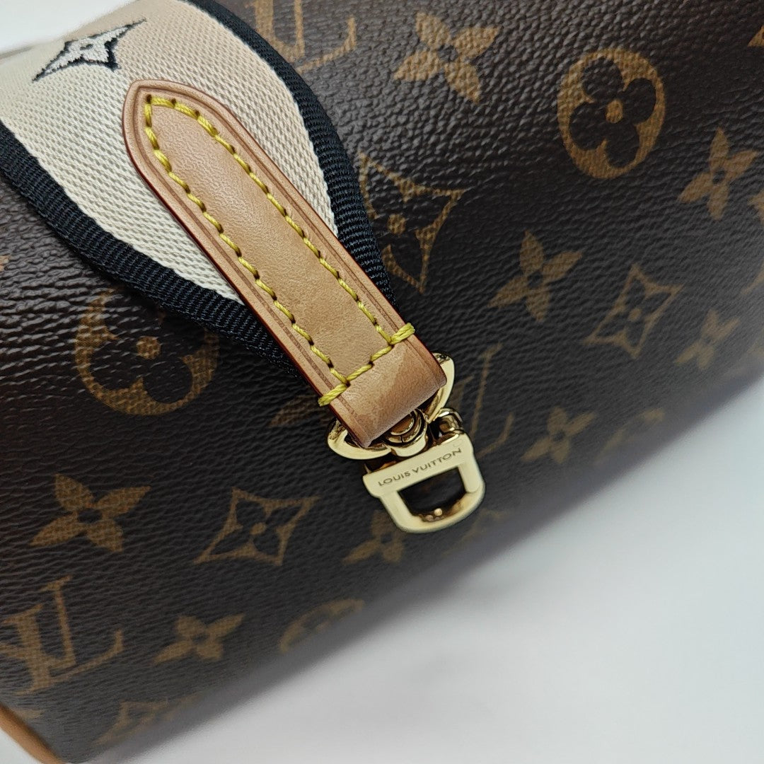 SPEEDY 20 Monogram Coated Canvas Brown