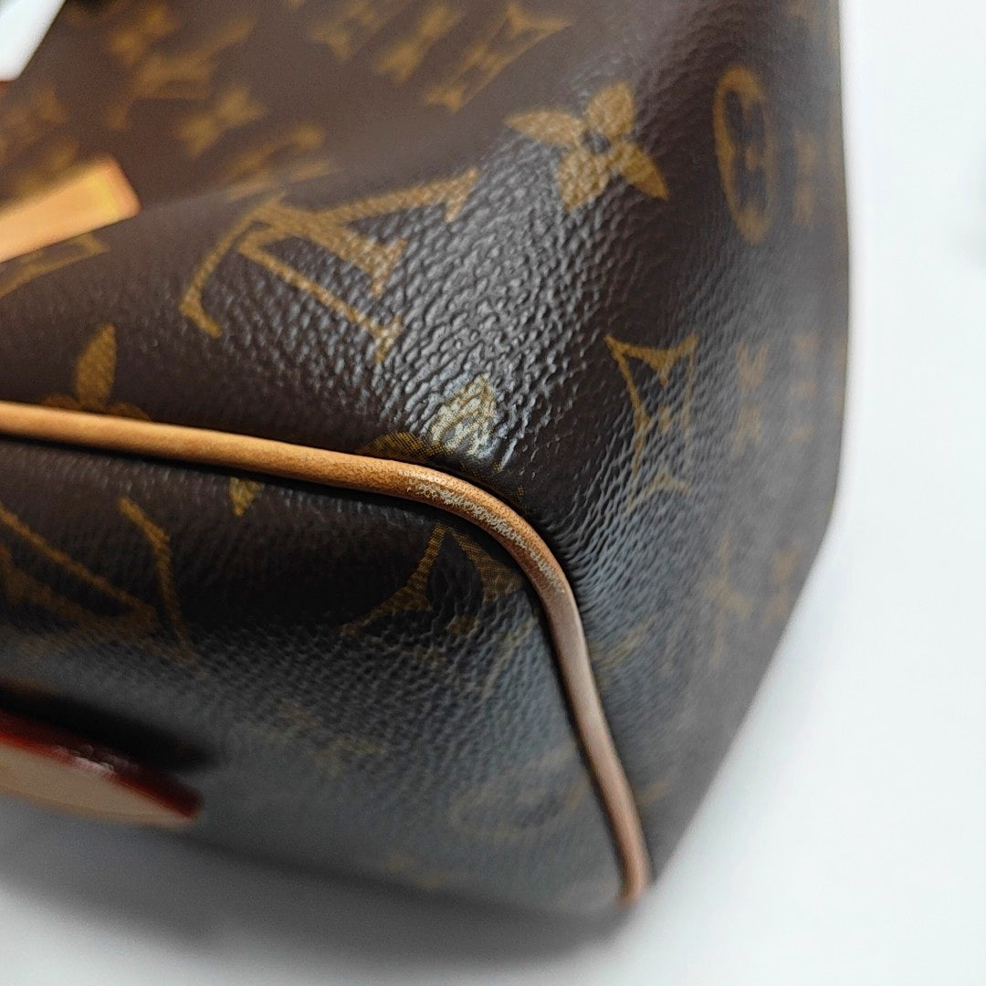 SPEEDY 20 Monogram Coated Canvas Brown