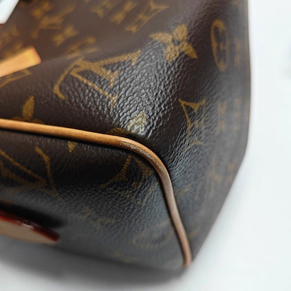 SPEEDY 20 Monogram Coated Canvas Brown
