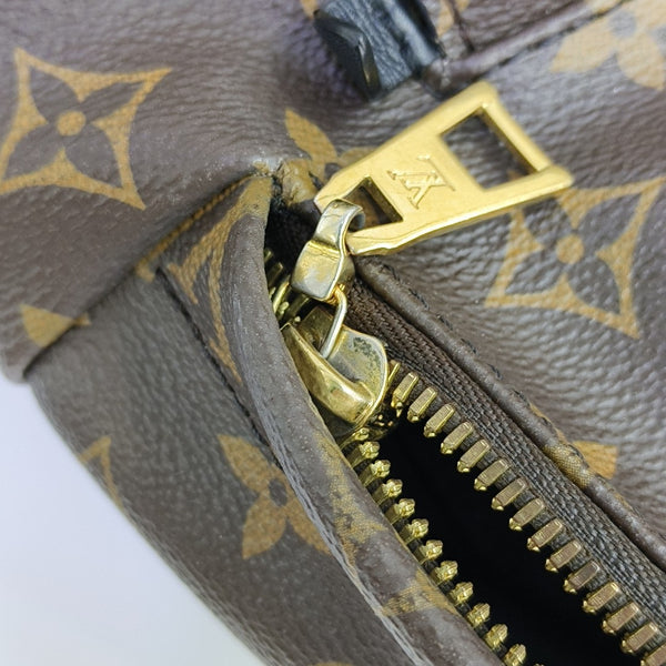 PALM SPRINGS PM Monogram Coated Canvas Brown
