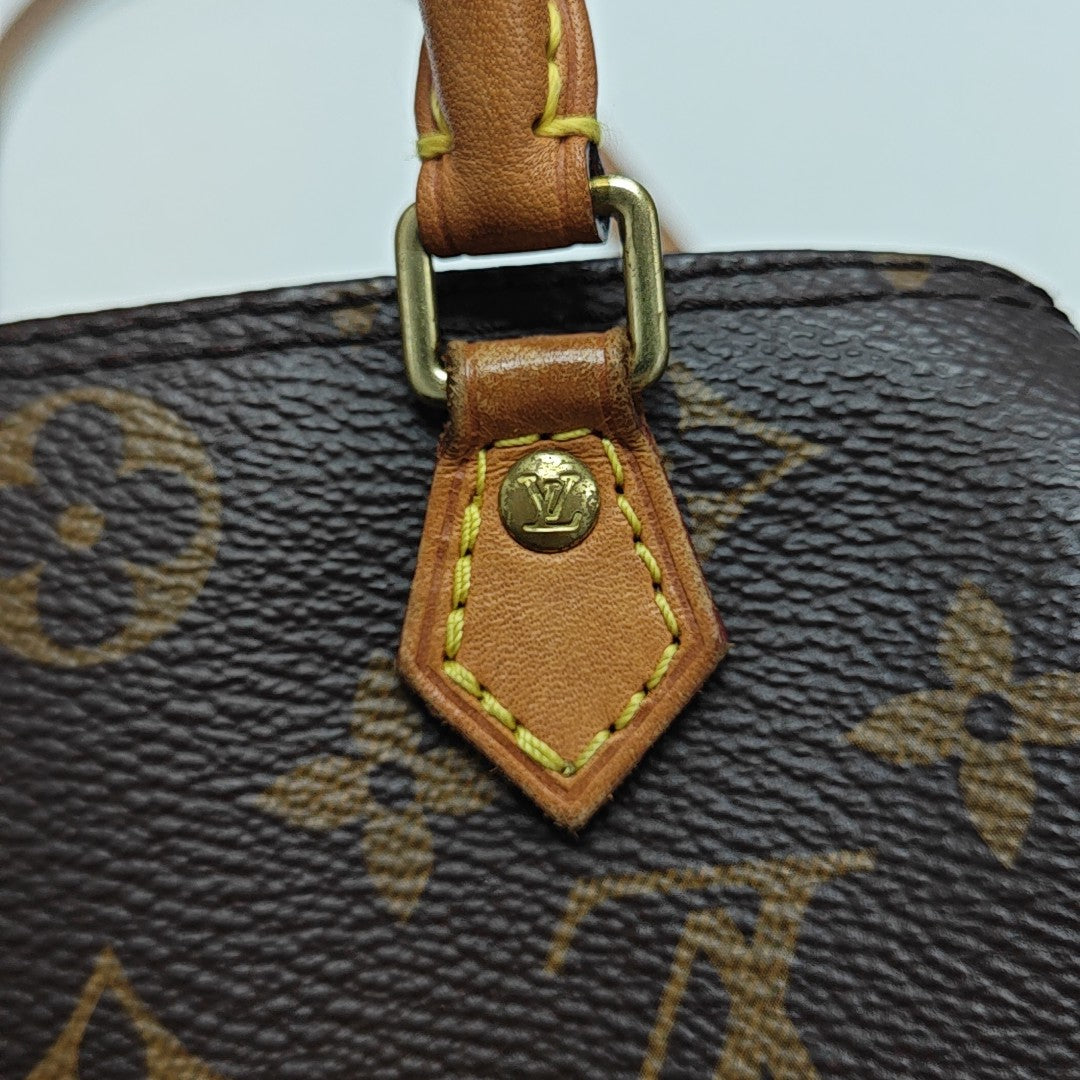 SPEEDY Nano Monogram Coated Canvas Brown