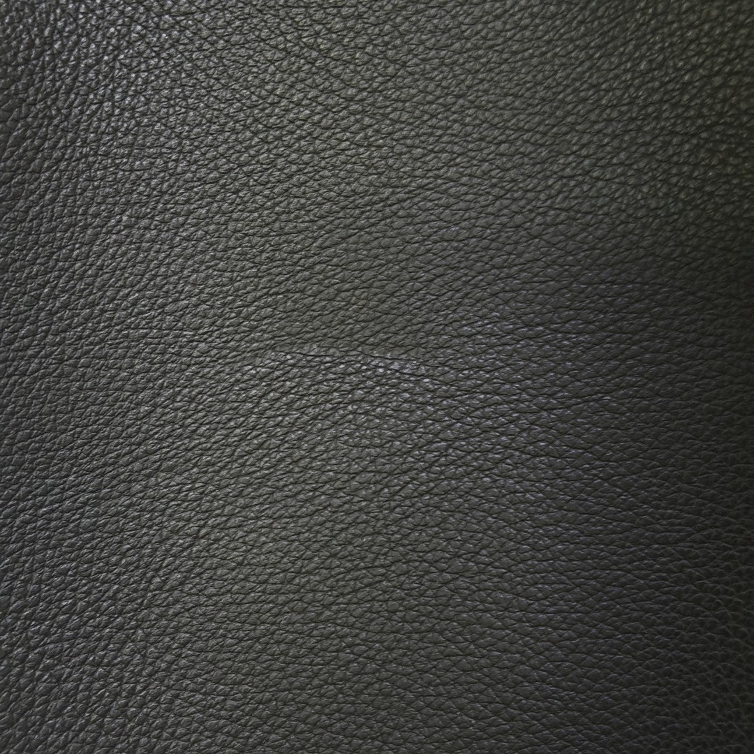 DISCOVERY Monogram Calfskin Black