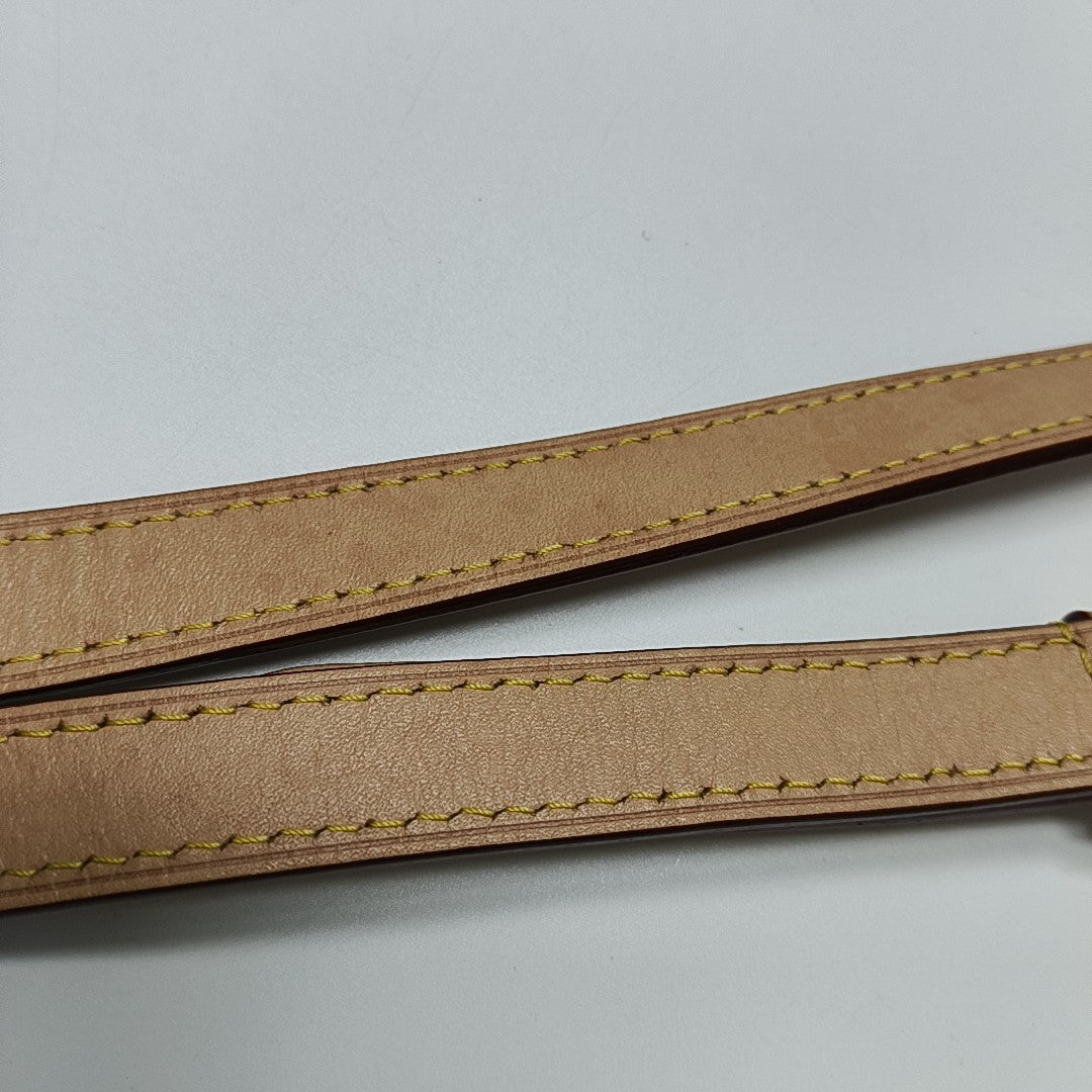 SPEEDY 25 Monogram Coated Canvas Brown