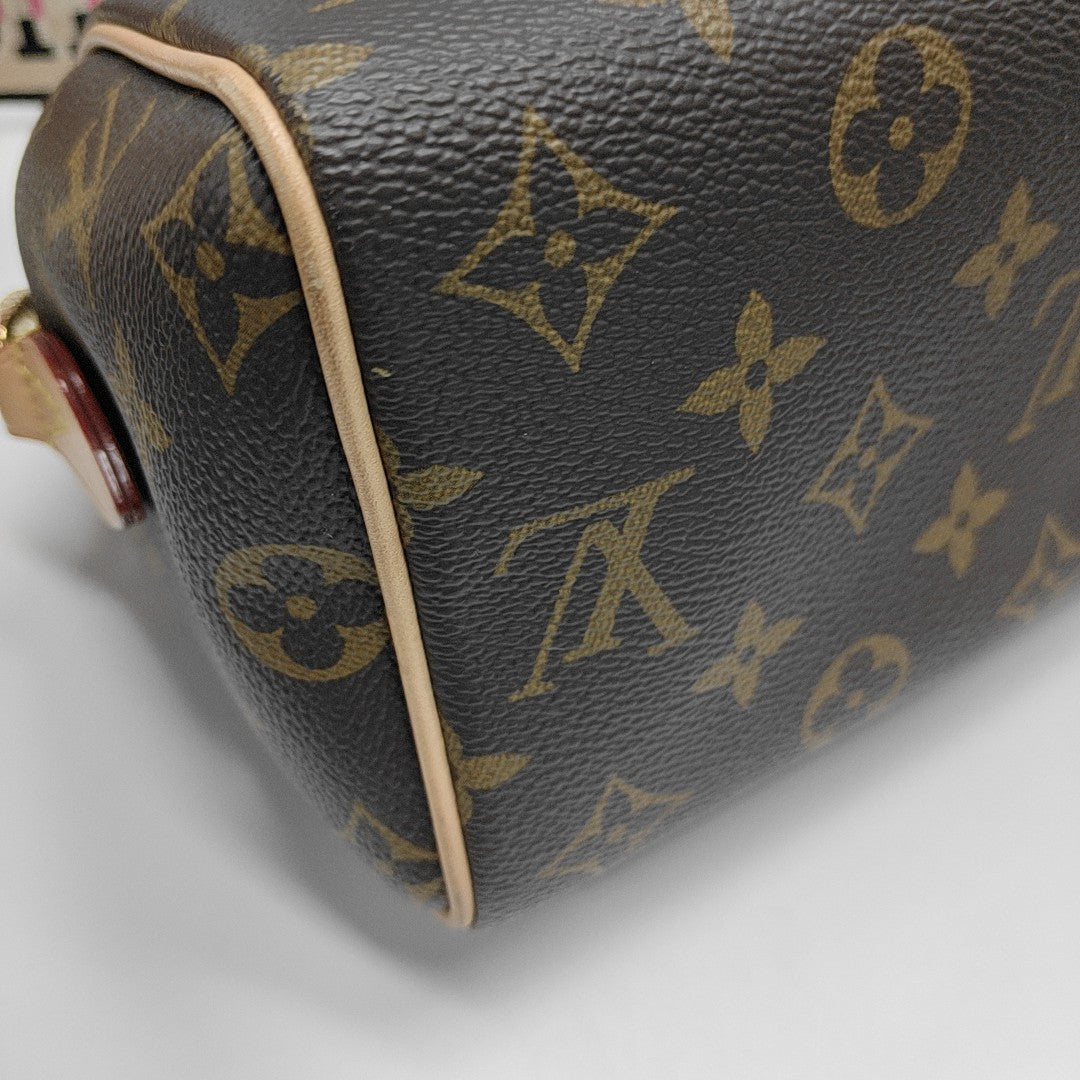 SPEEDY 20 Monogram Coated Canvas Brown