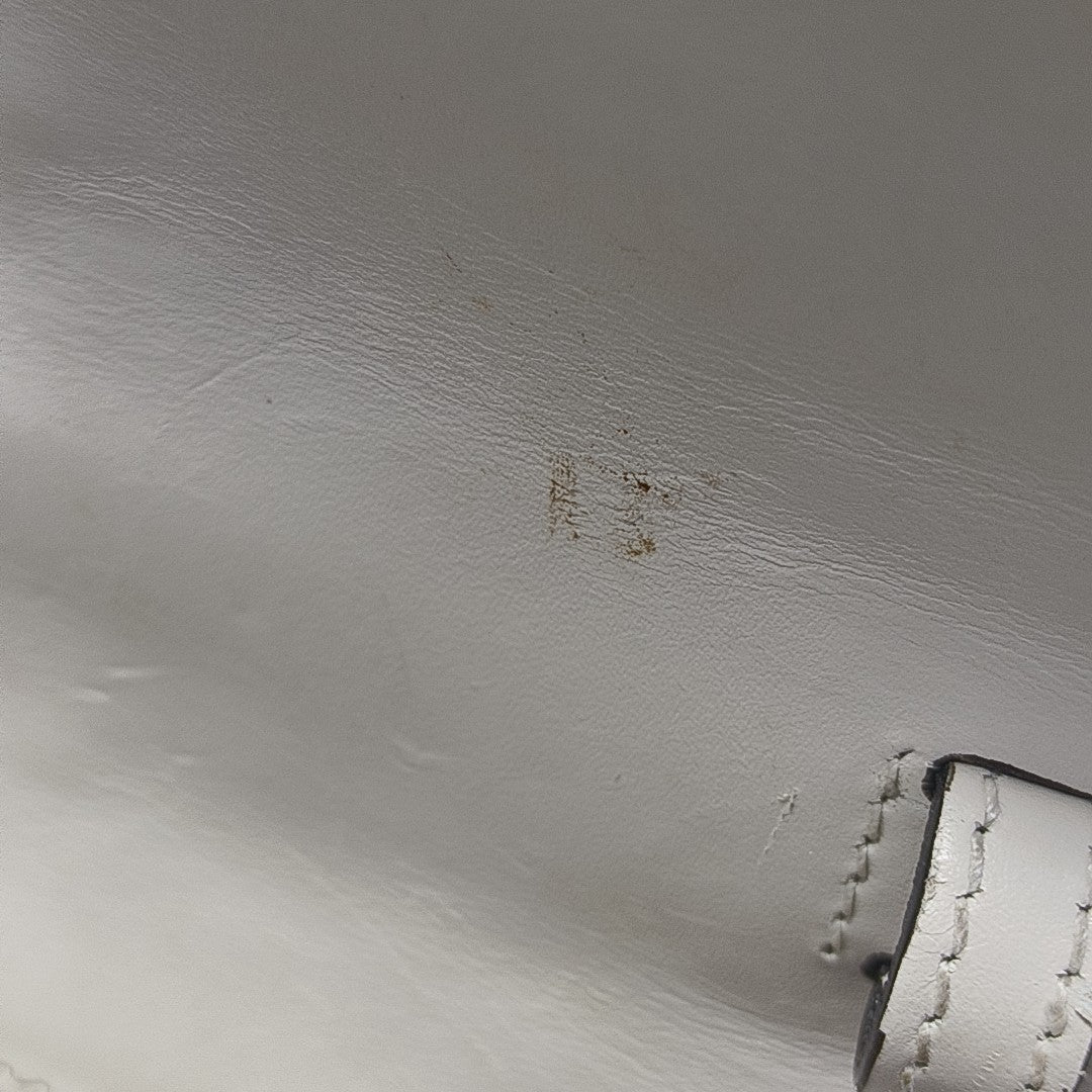 Sylvie Mini Calfskin White