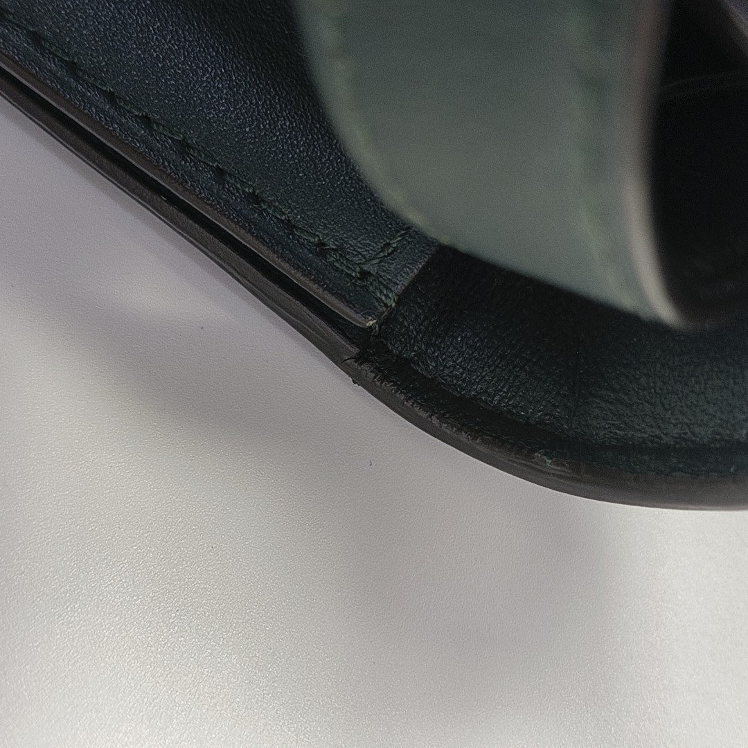 CLASSIC BOX Medium Calfskin Green