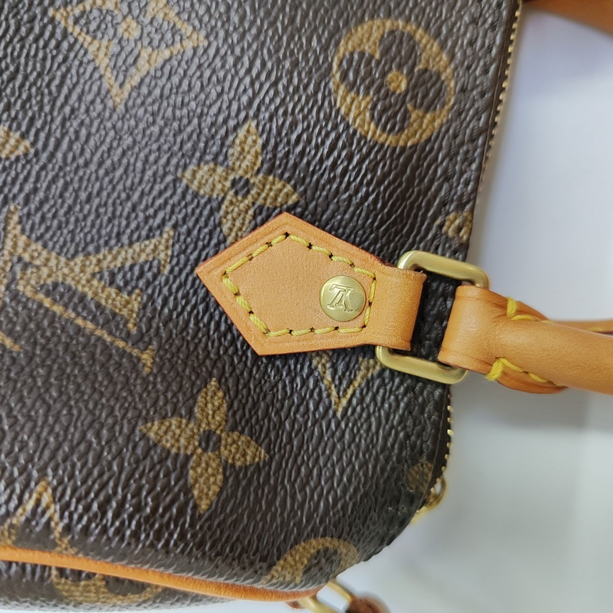 SPEEDY Nano Monogram Coated Canvas Brown