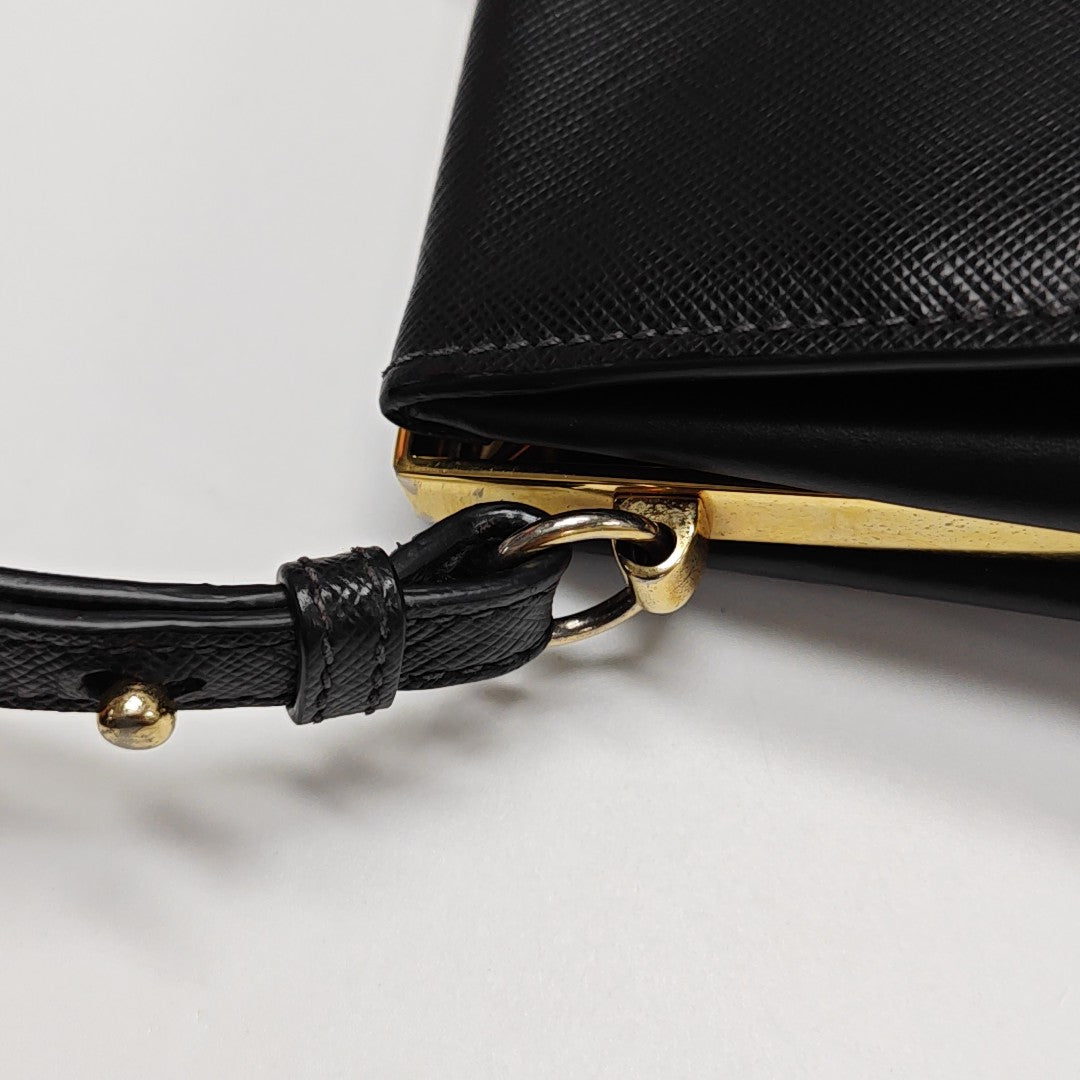 Light Frame Saffiano Calfskin Black