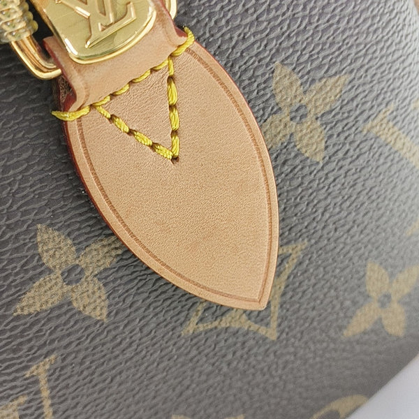 SPEEDY 20 Monogram Coated Canvas Brown