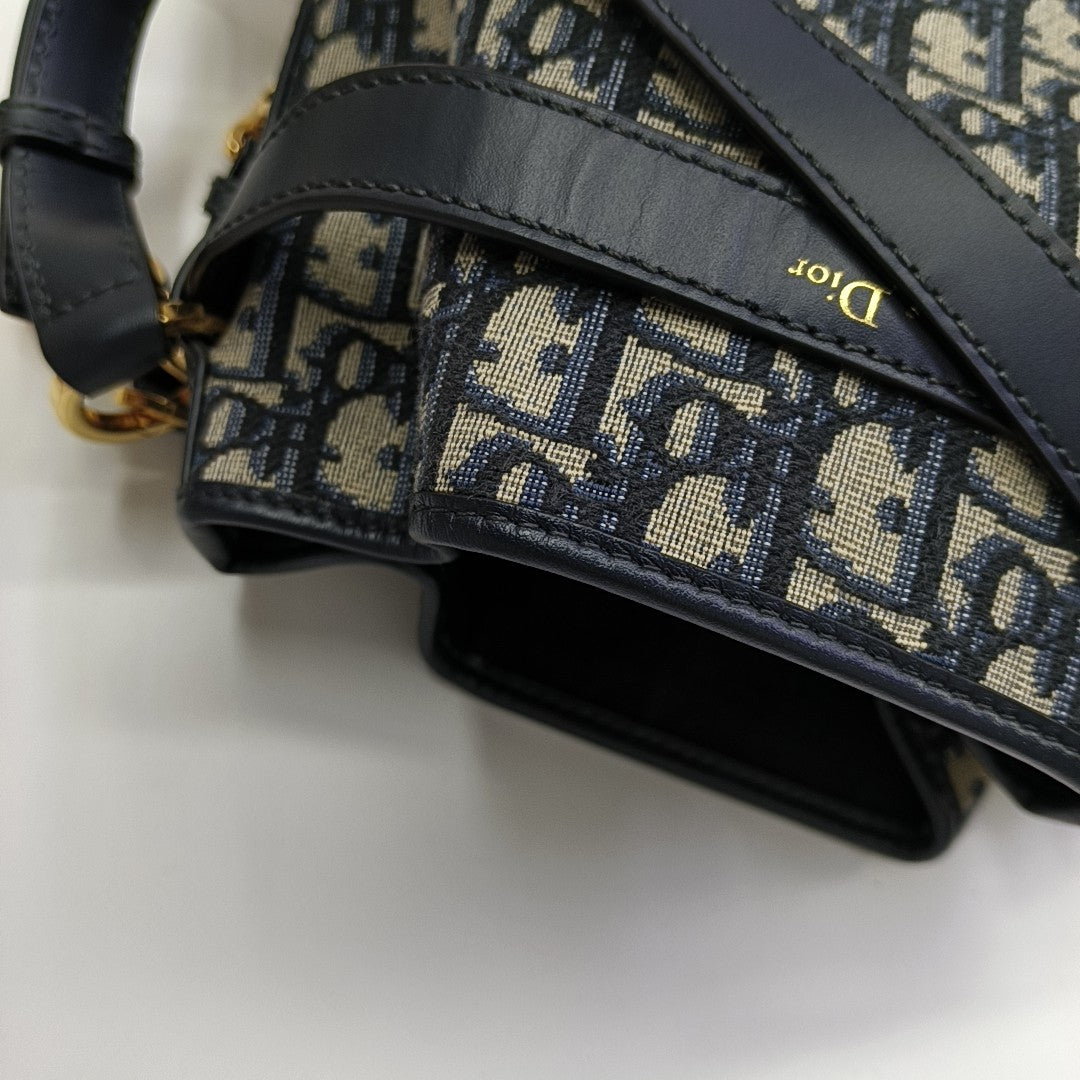 C'est Dior Medium Oblique Canvas Blue