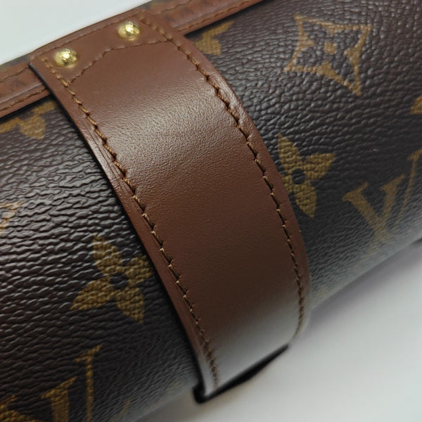 PAPILLON 19 Monogram Coated Canvas Brown