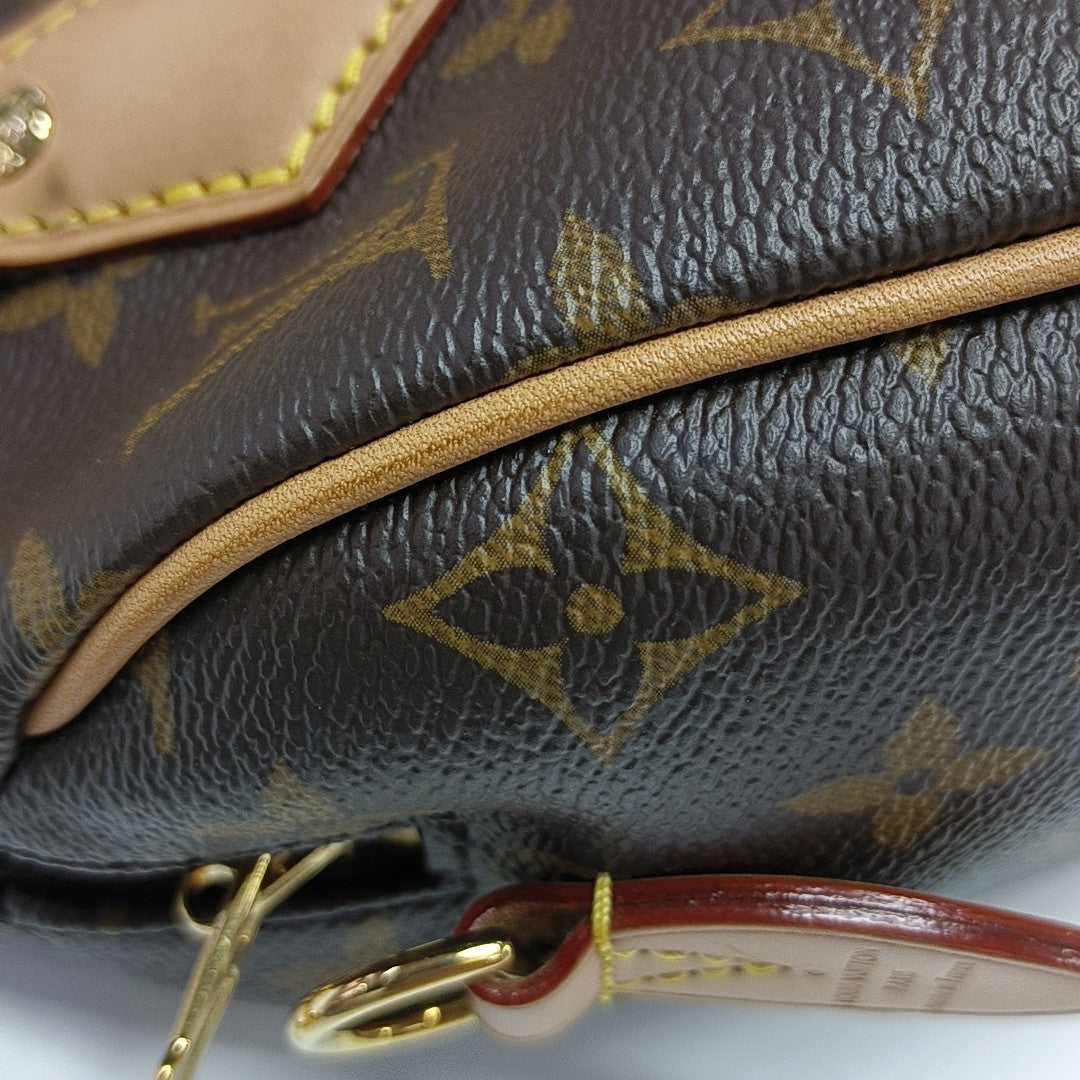 SPEEDY 20 Monogram Coated Canvas Brown