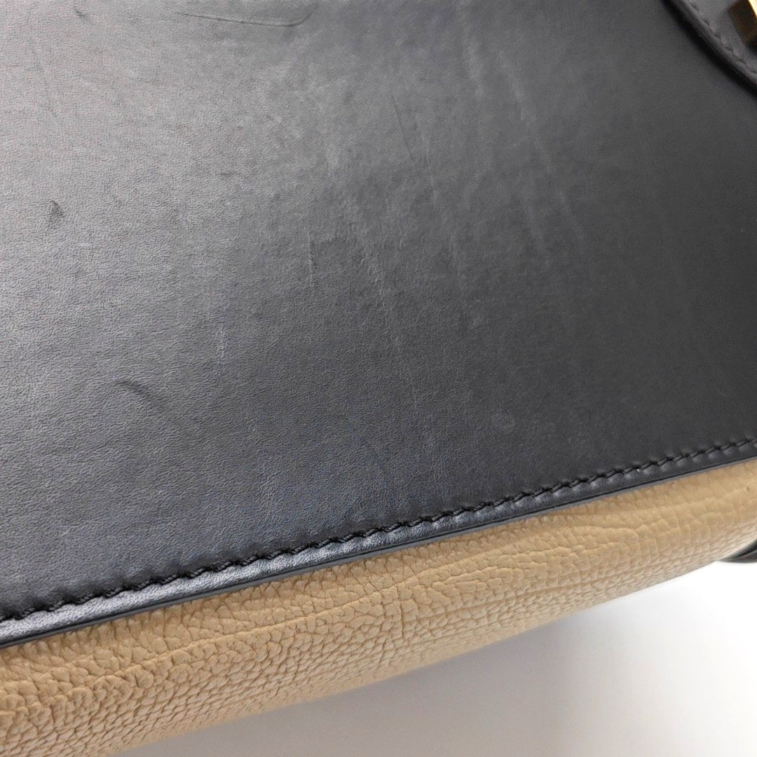 Authenticated pre-owned  LUGGAGE Micro Calfskin Multicolor - Tote Bag at Looply
