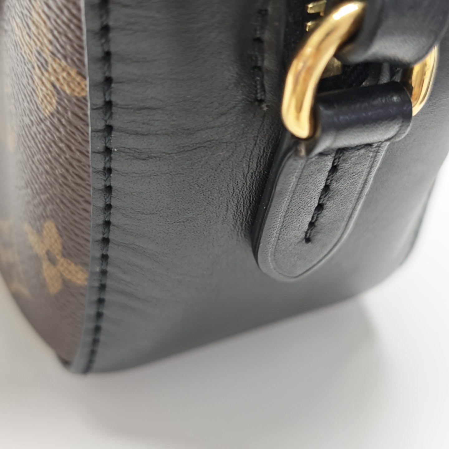 SAINTONGE Monogram Coated Canvas Brown