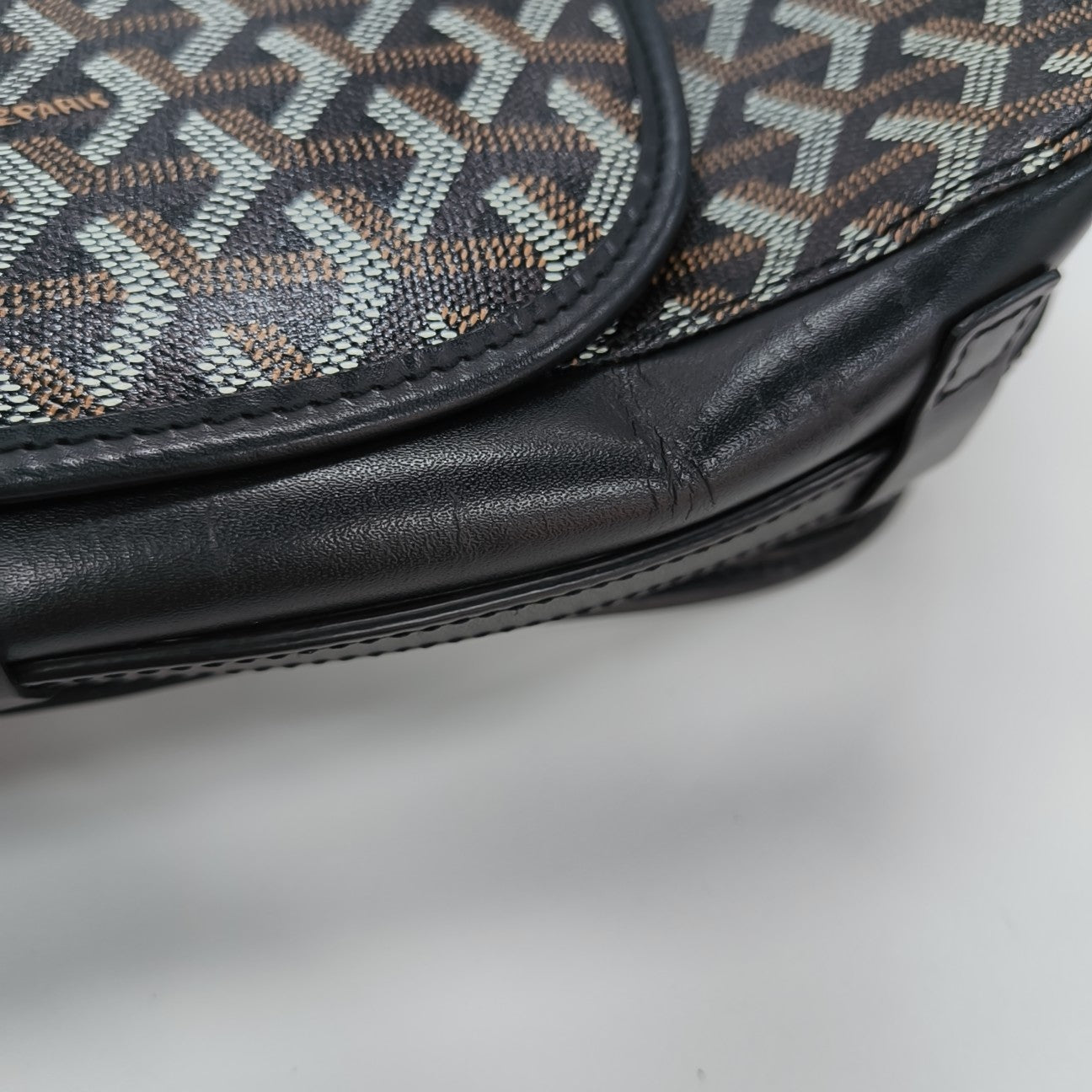 Belvedere Coated Canvas Black