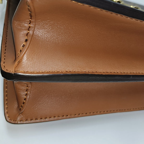 DAUPHINE MM Monogram Coated Canvas Brown
