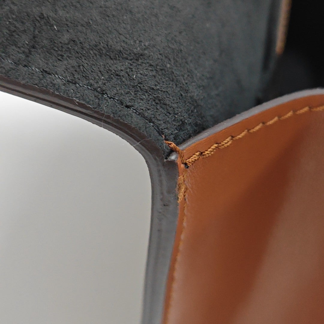 DAUPHINE Mini Monogram Coated Canvas Brown