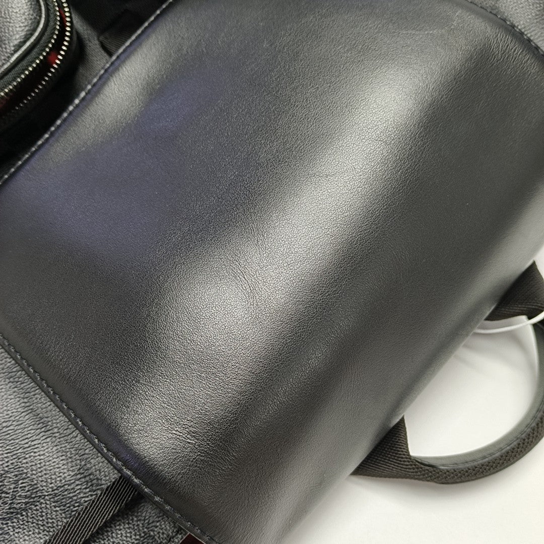 UTILITY Damier Graphite Coated Canvas Gray