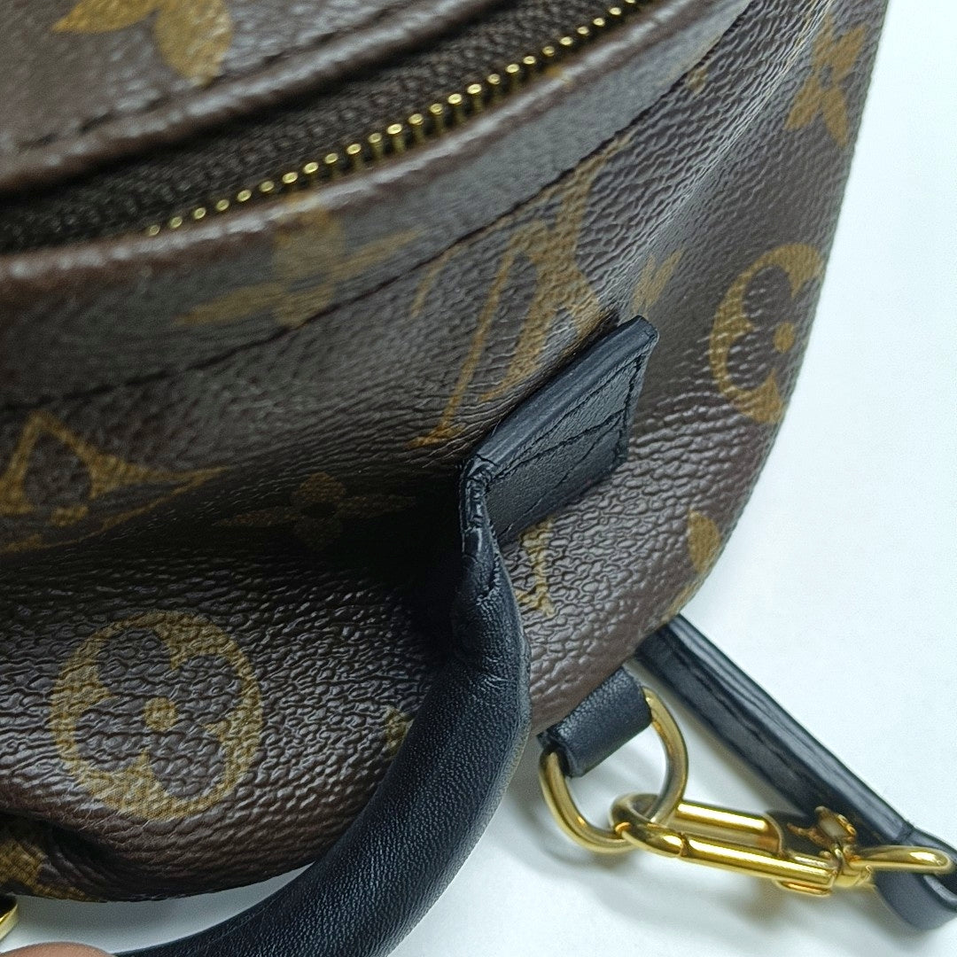 PALM SPRINGS Mini Monogram Coated Canvas Brown