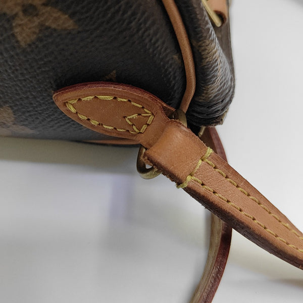 SPEEDY Nano Monogram Coated Canvas Brown