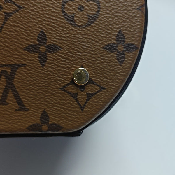 CANNES PM Monogram Coated Canvas Brown