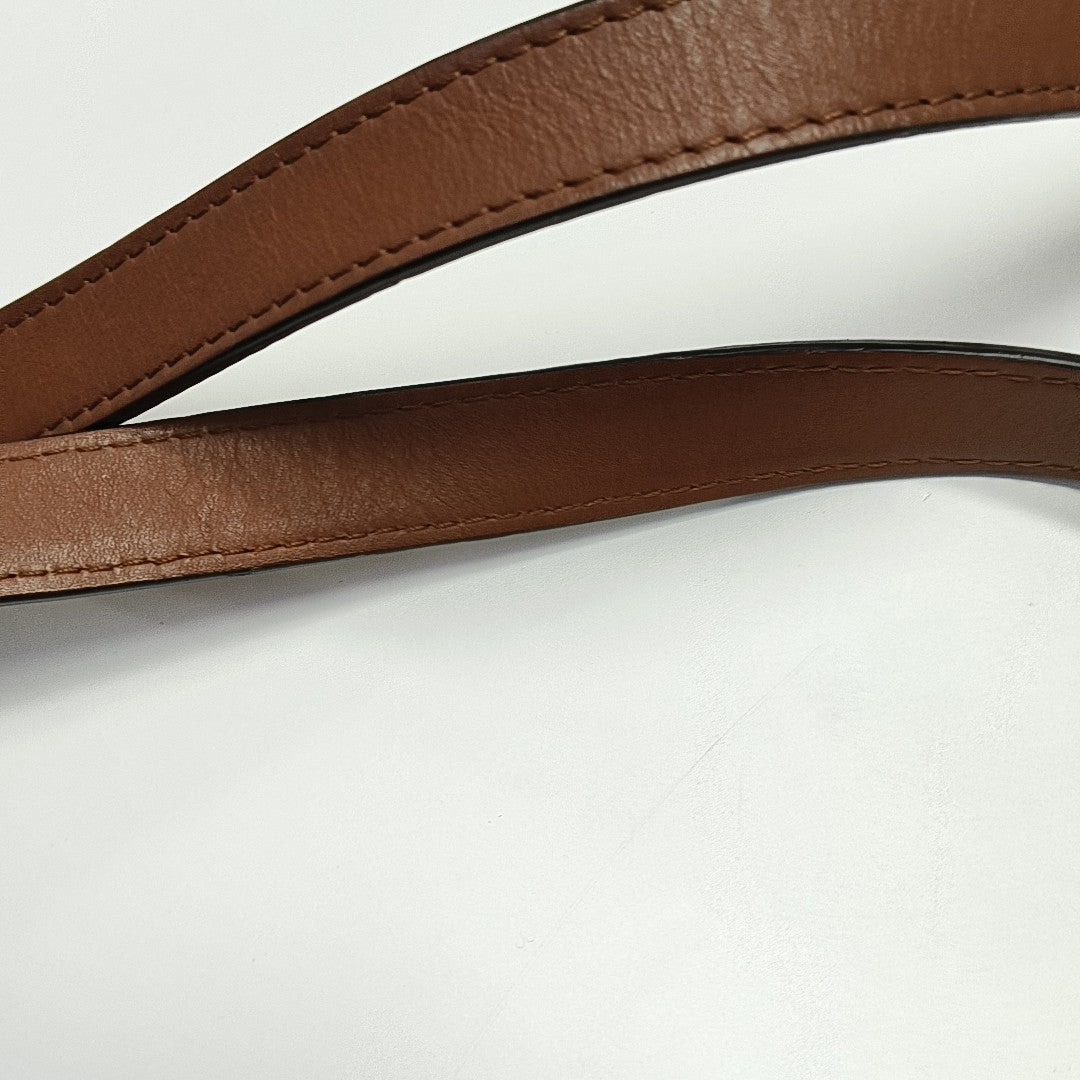DAUPHINE MM Monogram Coated Canvas Brown