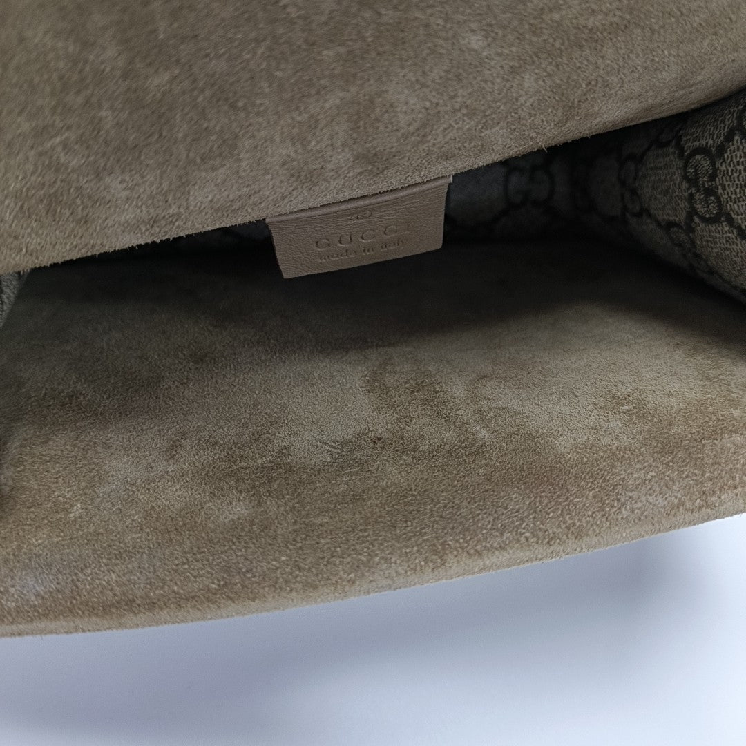 Dionysus Mini Monogram Coated Canvas Beige