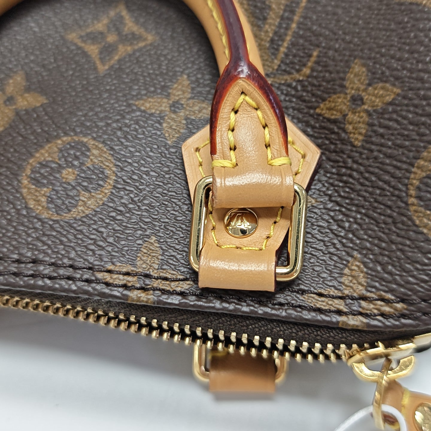 SPEEDY Nano Monogram Coated Canvas Brown