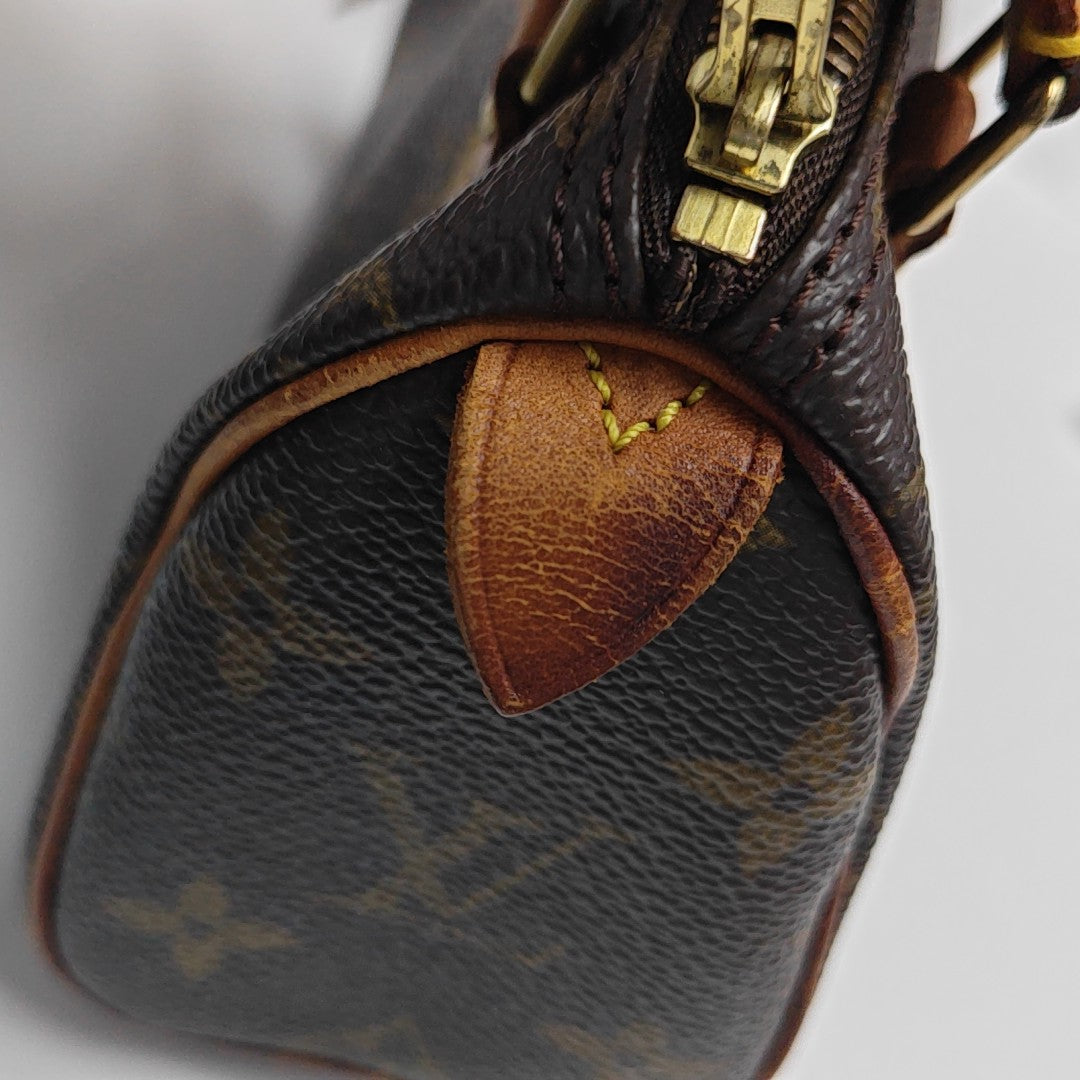 SPEEDY Nano Monogram Coated Canvas Brown