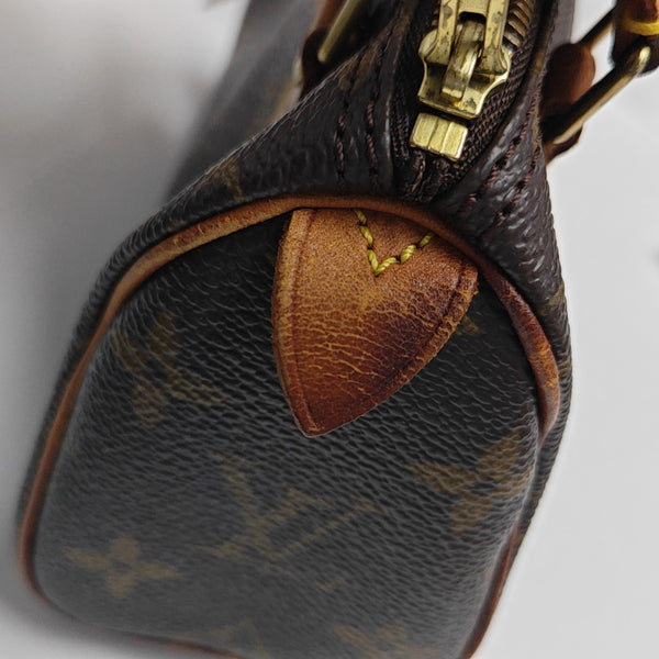SPEEDY Nano Monogram Coated Canvas Brown