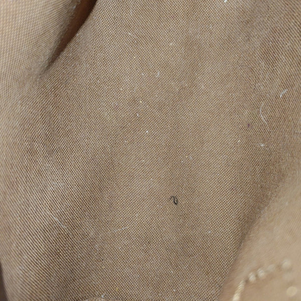 SPEEDY Nano Monogram Coated Canvas Brown