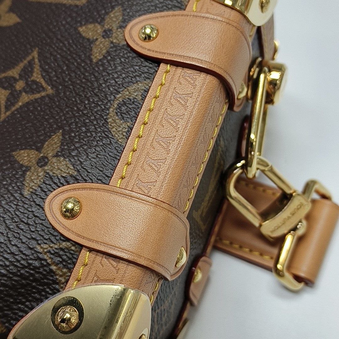 SIDE TRUNK PM Monogram Coated Canvas Brown