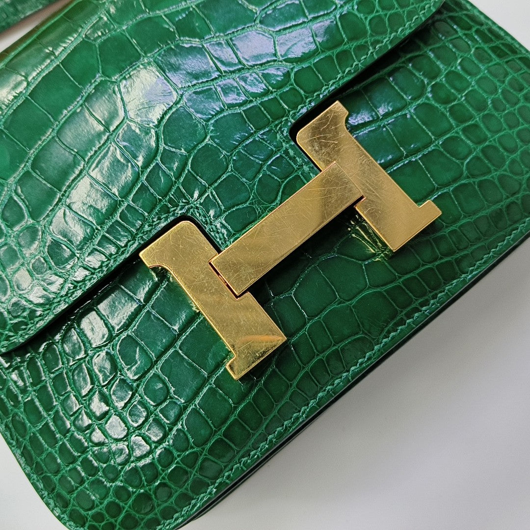 Constance 19 Shiny Porosus Crocodile Green