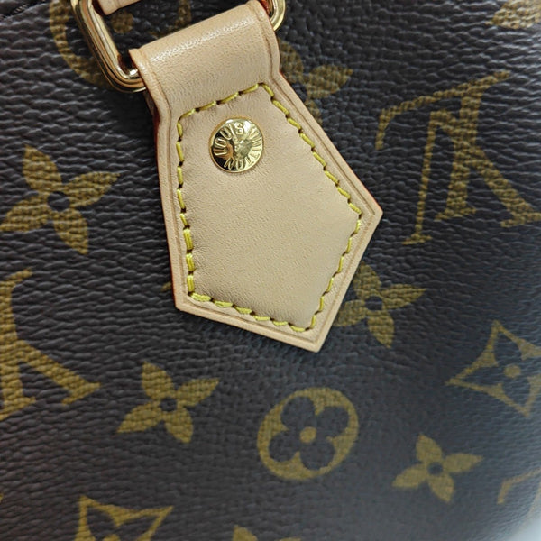 SPEEDY 20 Monogram Coated Canvas Brown