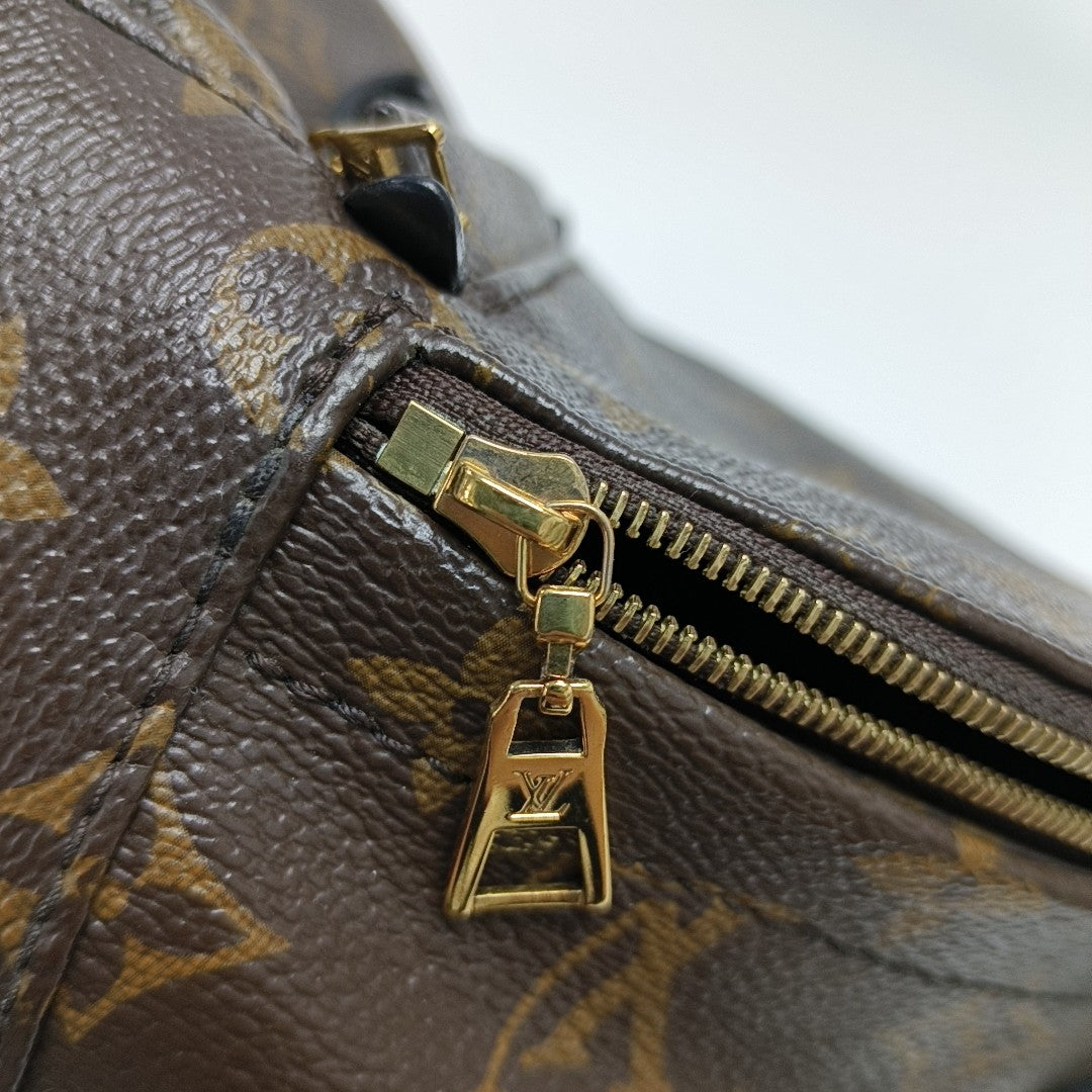 PALM SPRINGS Mini Monogram Coated Canvas Brown