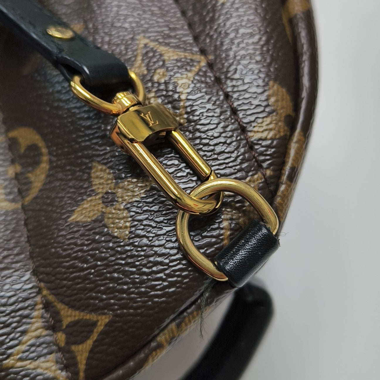 PALM SPRINGS Mini Monogram Coated Canvas Brown