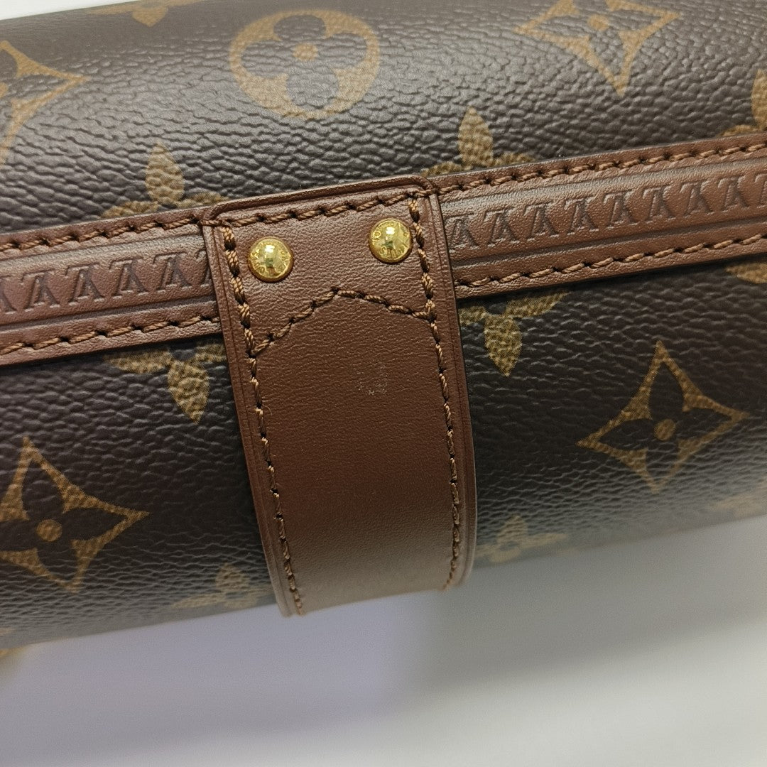 PAPILLON 19 Monogram Coated Canvas Brown