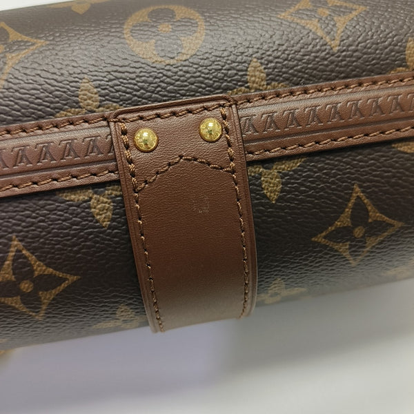 PAPILLON 19 Monogram Coated Canvas Brown