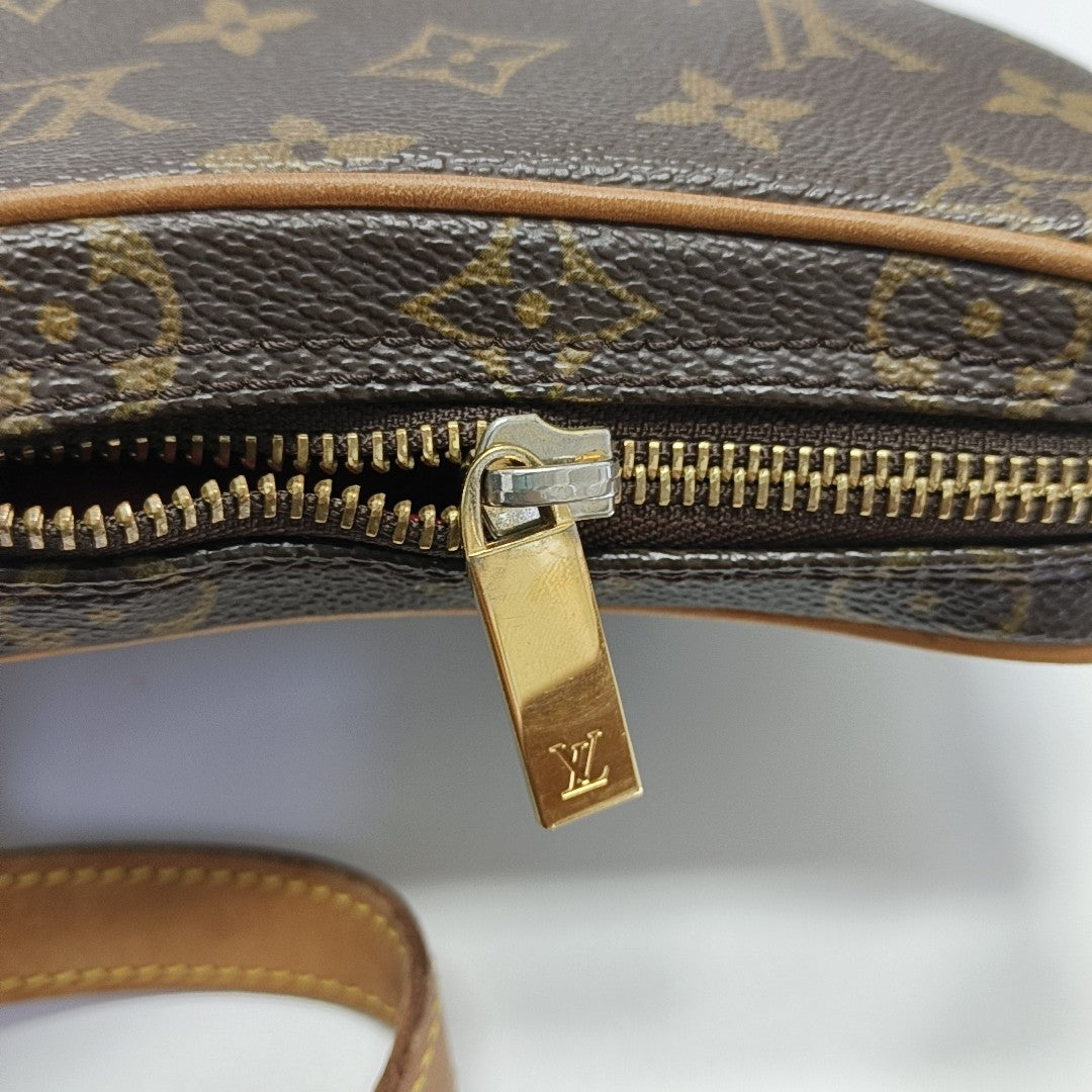 CROISSANT PM Monogram Coated Canvas Brown